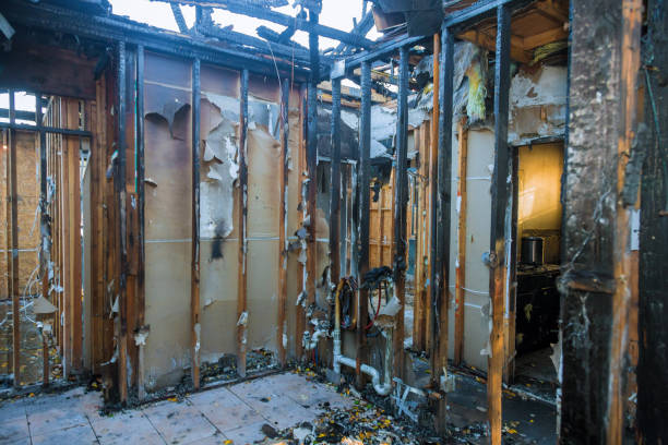 Professional Fire Damage Removal technician working in Moweaqua, IL